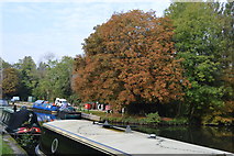 SU6269 : Autumnal colours, Kennet & Avon Canal by N Chadwick