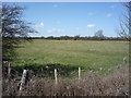 Grazing off Barton Road