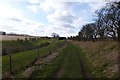 Hawold Bridle Road at Well Dale