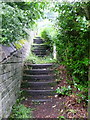 SE0522 : Steps on the footPath between Rochdale Road and Lower Brockwell Lane, Sowerby by Humphrey Bolton