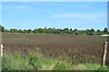 Farmland near Bridge