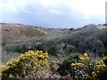 Above the Nant Fothau Valley