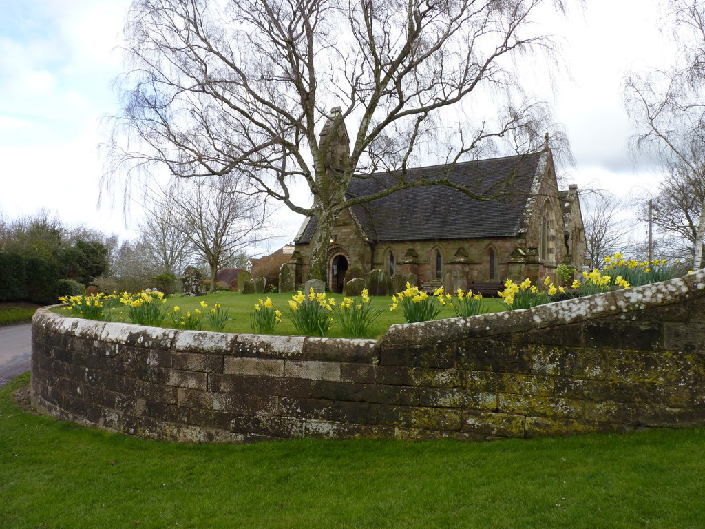 Daffodils At St Marys Church Elmbridge © Jeff Gogarty Cc By Sa20