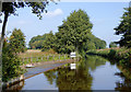 Canal overflow weir near Chirk, Wrexham