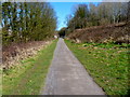 Path near River Frome