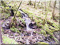 Small waterfall down to Afon Cych