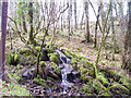 Small waterfall down to Afon Cych