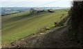 Valley side near Landare Farm