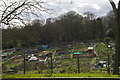 Allotments off Biggin Hill, SE19