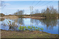 Former gravel pit, Aldershot