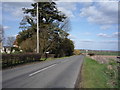 Minor road, Higham Gobion