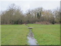 Canal feeder in Ruislip golf course (3)