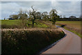 SS8806 : Mid Devon : Country Lane by Lewis Clarke