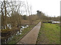 Bridge across Frogmore Lakes