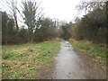 Path to Frogmore Lakes