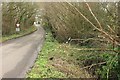 ST7857 : Lane through Kingcopse Wood by Derek Harper