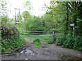 Frome Valley Walkway