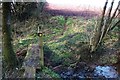 Footpath bridge over stream