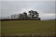 TQ4114 : Countryside near Barcombe by N Chadwick