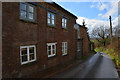 Upham : Country Lane