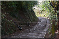 Mid Devon : Farm Track