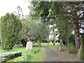 Holy Trinity, Eckington: churchyard (c)