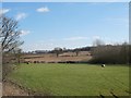 SE3750 : Fields adjacent to the old railway near Spofforth by Stephen Craven