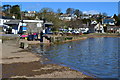 Beside the Mill Pool at Stoke Gabriel