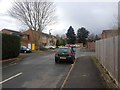 Cheriton Way, Allington