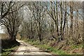 Lane at Penhole Farm