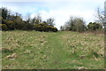 Path on Venniehill