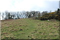 Path to Viewpoint on Venniehill