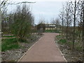 Chester Avenue Community Woodland