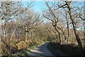 Lane across Redlake Cottage Meadows NR