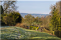 Teme Bridge