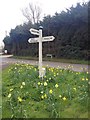 Fingerpost, near East Peckham