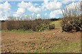 Field boundary above Blackwater