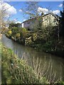 The River Thaw, Cowbridge