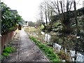 SO8504 : The Thames & Severn Canal above Bowbridge Lock by Christine Johnstone