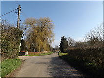 TM1656 : Pettaugh Lane, Gosbeck by Geographer
