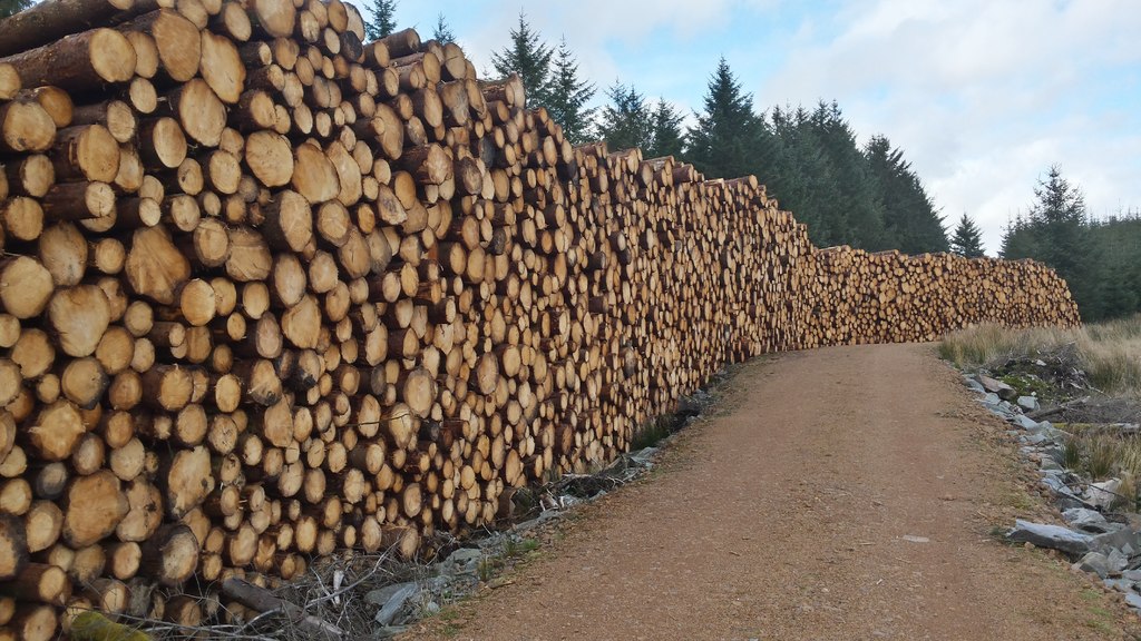 timber-extraction-south-of-grogport-steve-partridge-cc-by-sa-2-0