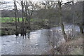 River Nidd