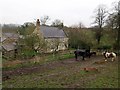 NZ1263 : Farmhouse, Daniel Farm by Andrew Curtis