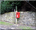 Elizabeth II postbox on Causey Hill Road