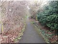 Footpath - Fleminghouse Lane