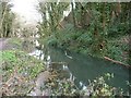 The Thames & Severn Canal, east of the A419, Chalford