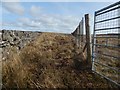 NS4377 : Deer fence and dry-stone wall by Lairich Rig