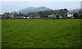 Houses and field, New Abbey