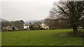 Houses and field, New Abbey