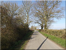 TM1656 : King's Lane, Gosbeck by Geographer